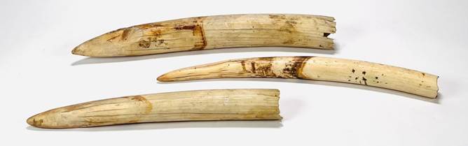 Afbeelding met mossel

Automatisch gegenereerde beschrijving